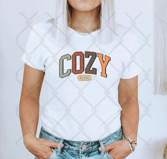 Cozy Season T-shirt.  Fall t-shirt